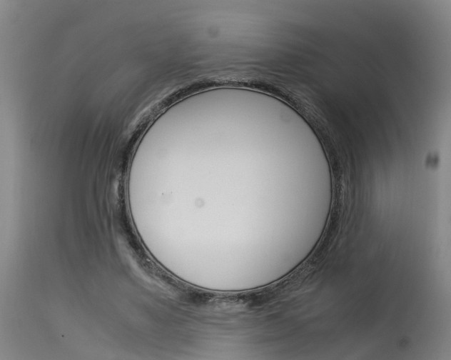 X0000115580491200911100957