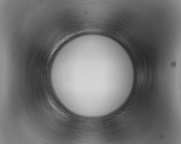 X0000115580492200911100957