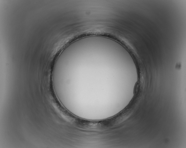 X0000115580493200911100957