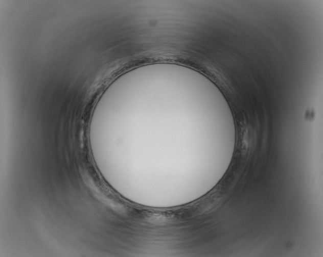 X0000115580494200911100957