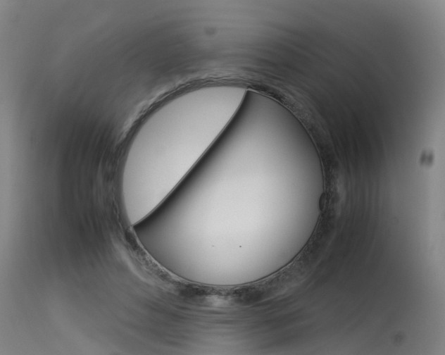 X0000115580496200911100957