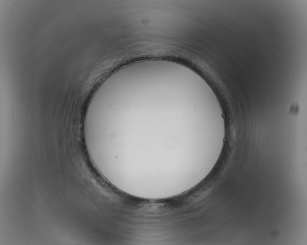 X0000115580497200911100957