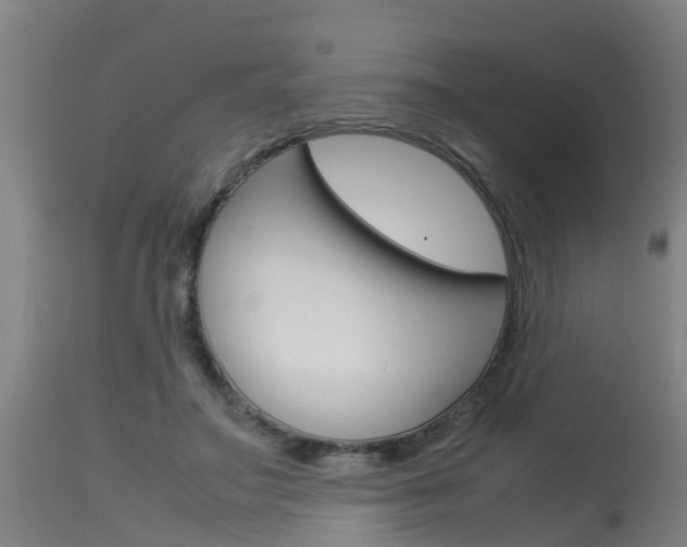 X0000115580499200911100957