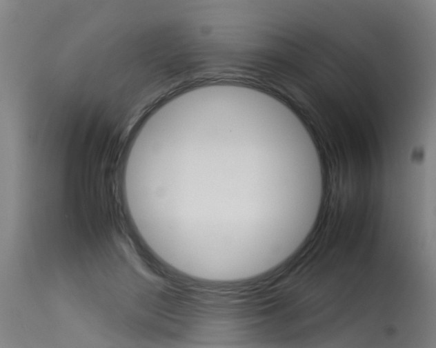 X0000115580500200911100957