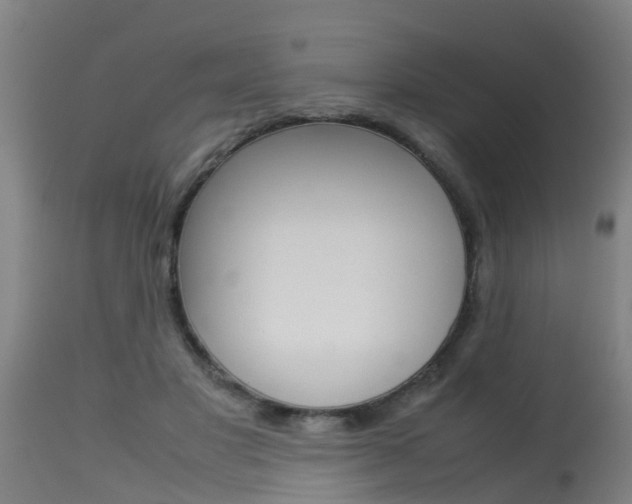 X0000115580501200911100957