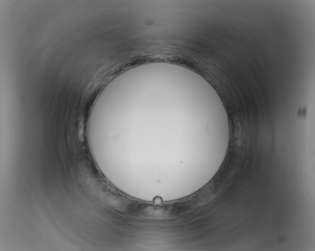 X0000115580502200911100957