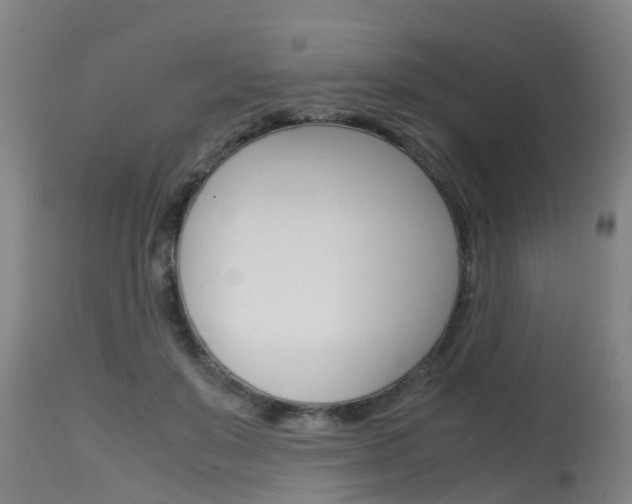 X0000115580503200911100957