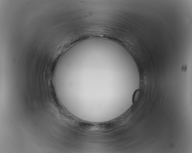 X0000115580504200911100957