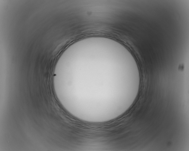 X0000115580505200911100957