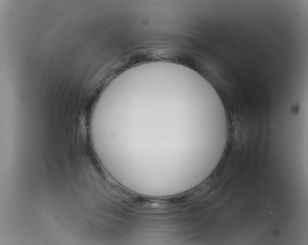 X0000115580506200911100957