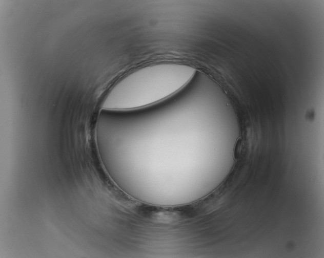 X0000115580508200911100957