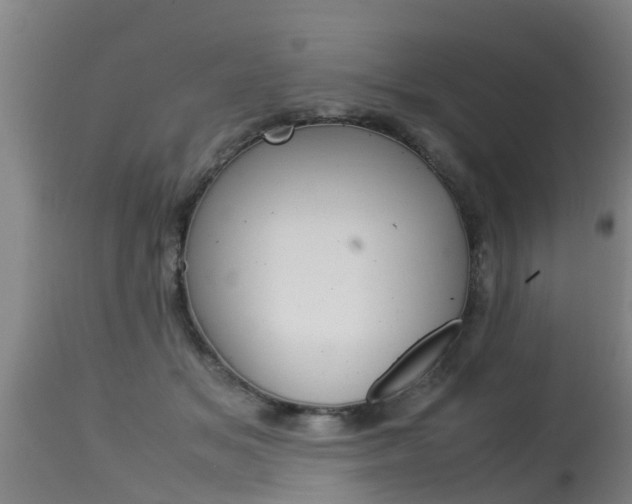 X0000115580509200911100957