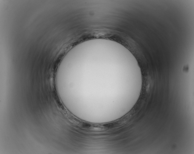 X0000115580510200911100957