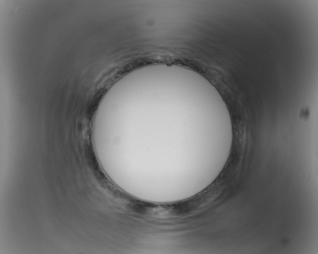 X0000115580511200911100957
