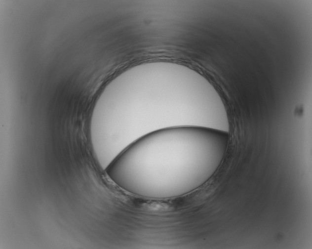 X0000115580512200911100957