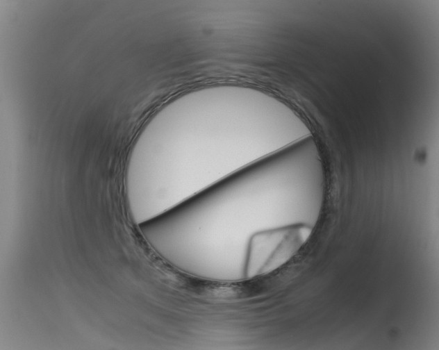 X0000115580513200911100957