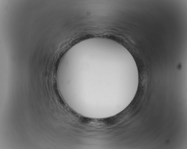 X0000115580515200911100957