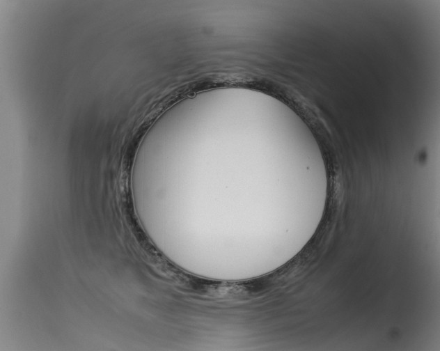 X0000115580517200911100957