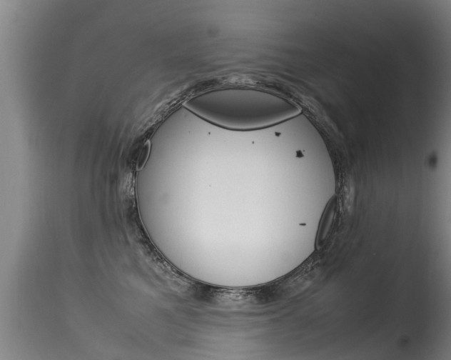 X0000115580521200911100957