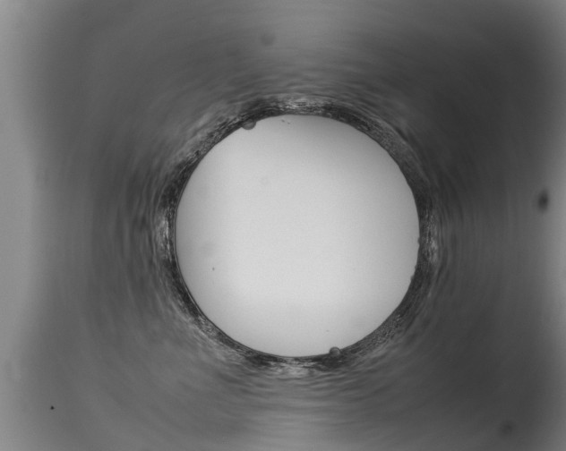 X0000115580523200911100957