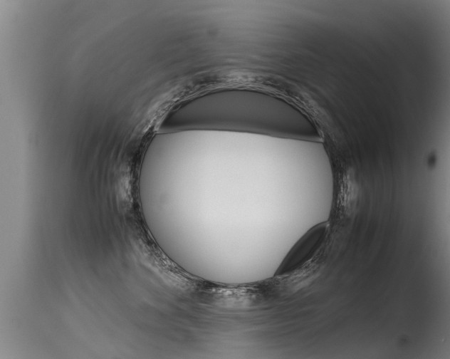 X0000115580524200911100957
