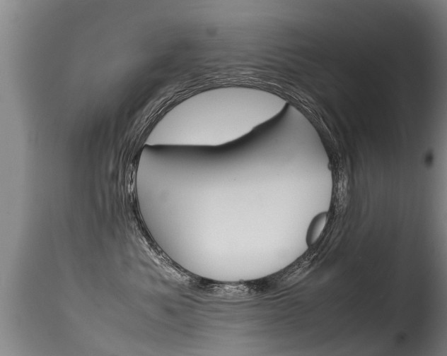 X0000115580525200911100957