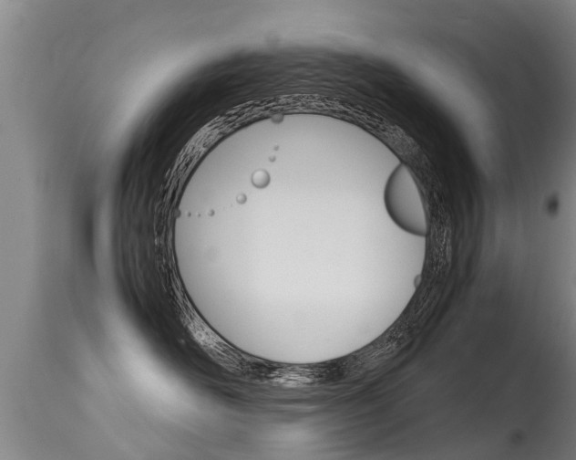 X0000115580526200911100957