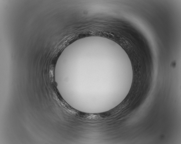 X0000115580527200911100957