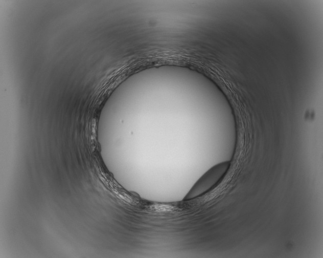 X0000115580528200911100957