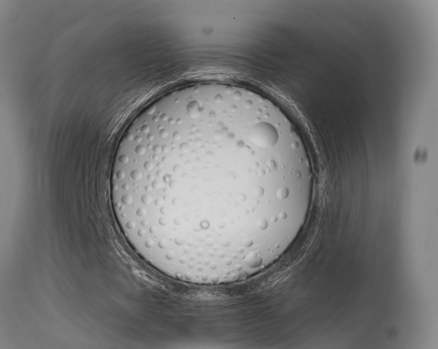 X0000115580529200911100956