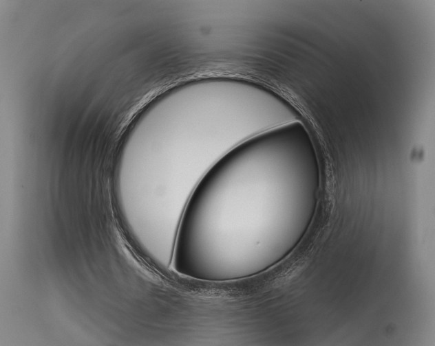 X0000115580530200911100956