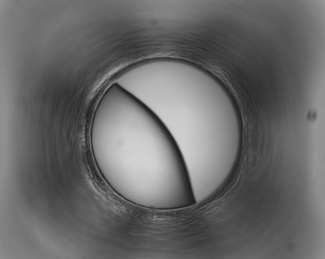 X0000115580531200911100956