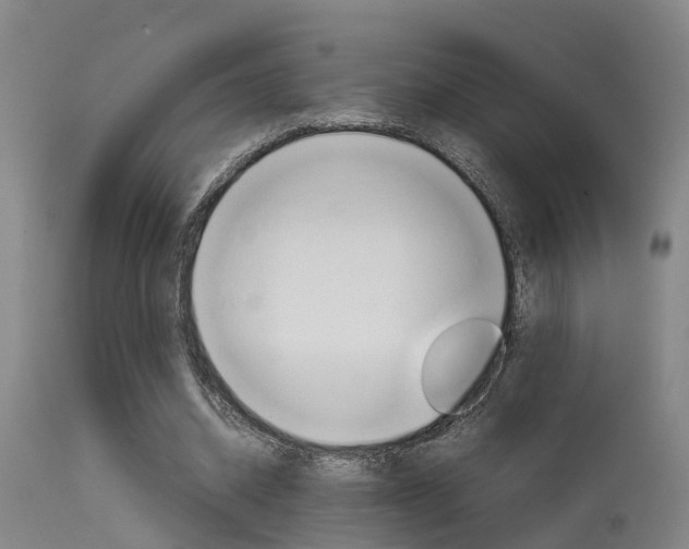 X0000115580534200911100956
