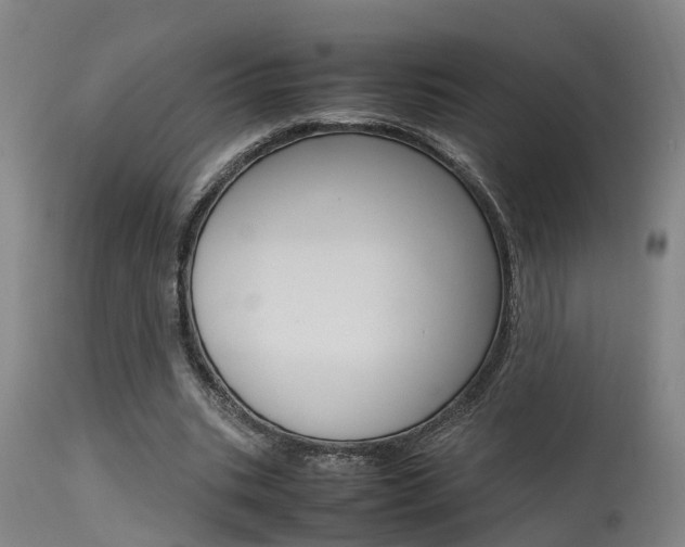 X0000115580535200911100956