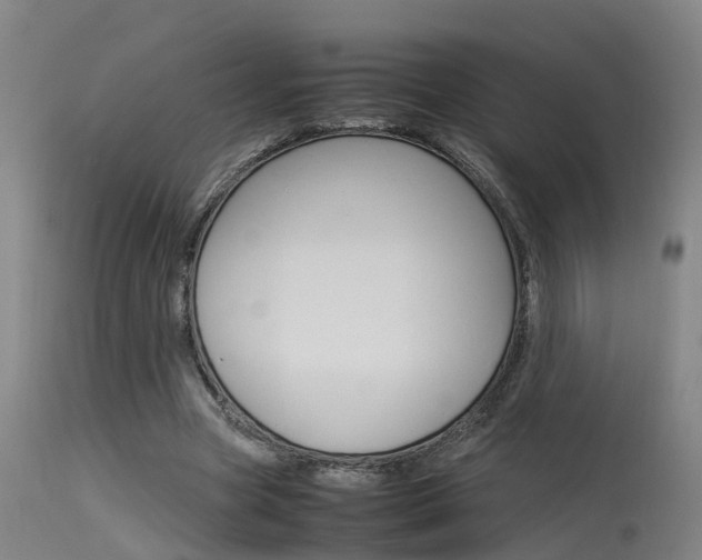 X0000115580537200911100956