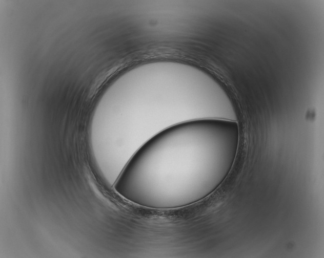 X0000115580538200911100956