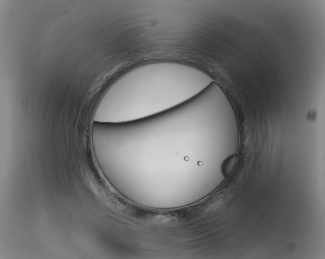 X0000115580542200911100956