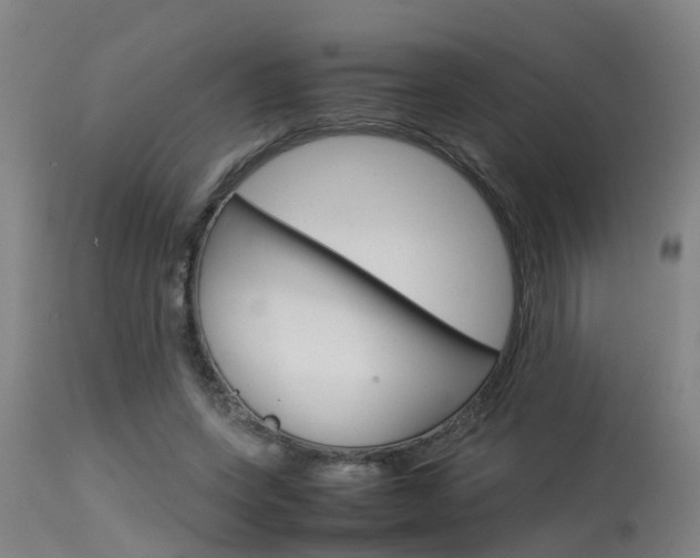 X0000115580543200911100956