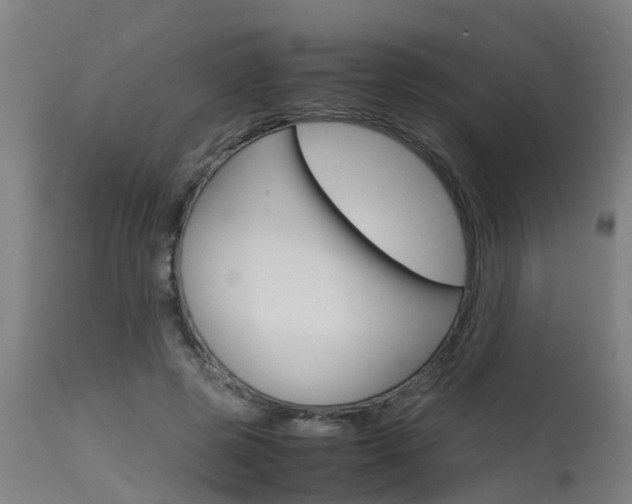 X0000115580545200911100956