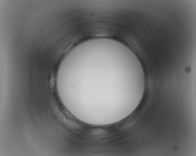 X0000115580549200911100956
