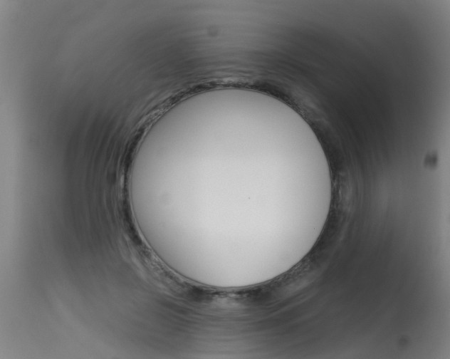 X0000115580550200911100956