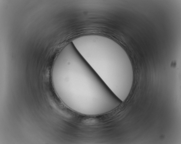 X0000115580551200911100956