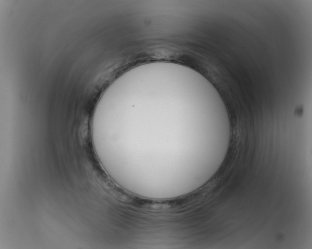 X0000115580554200911100956