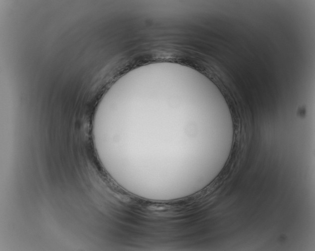 X0000115580557200911100956