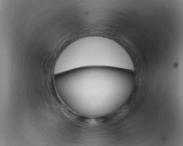 X0000115580558200911100956