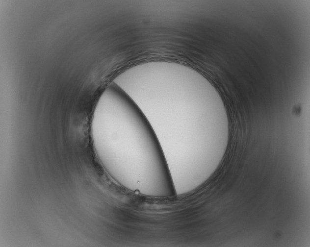 X0000115580559200911100956
