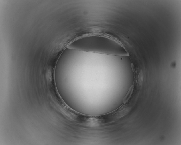 X0000115580562200911100956