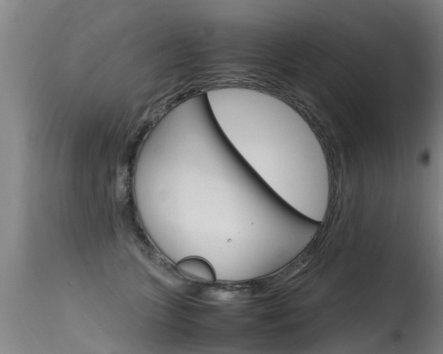 X0000115580563200911100956
