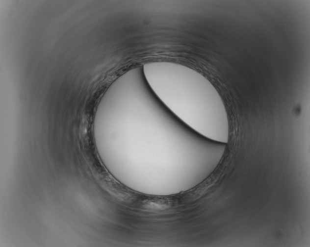 X0000115580567200911100956