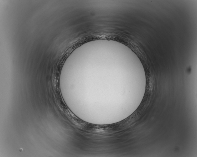 X0000115580569200911100956